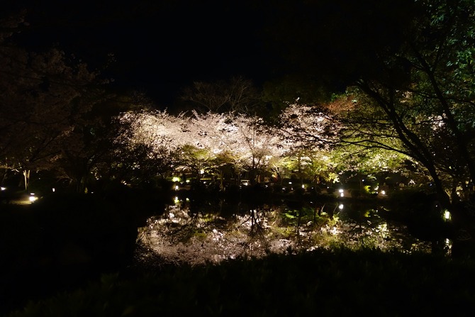 DSC04310