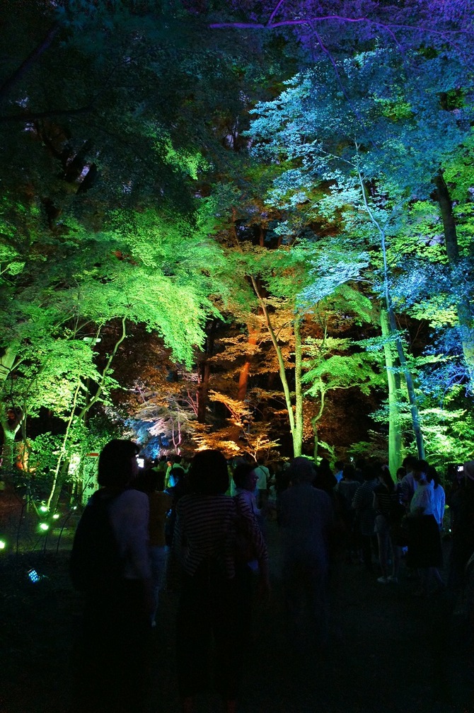 DSC09724
