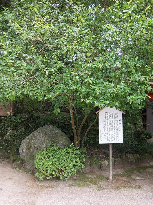かまど神社2