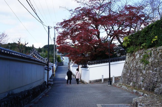 DSC04555