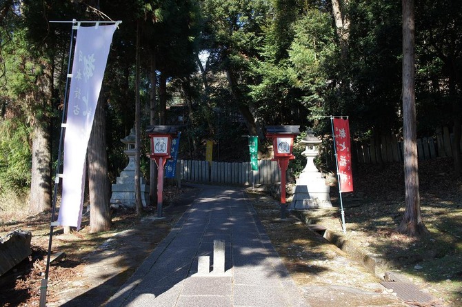 DSC05523