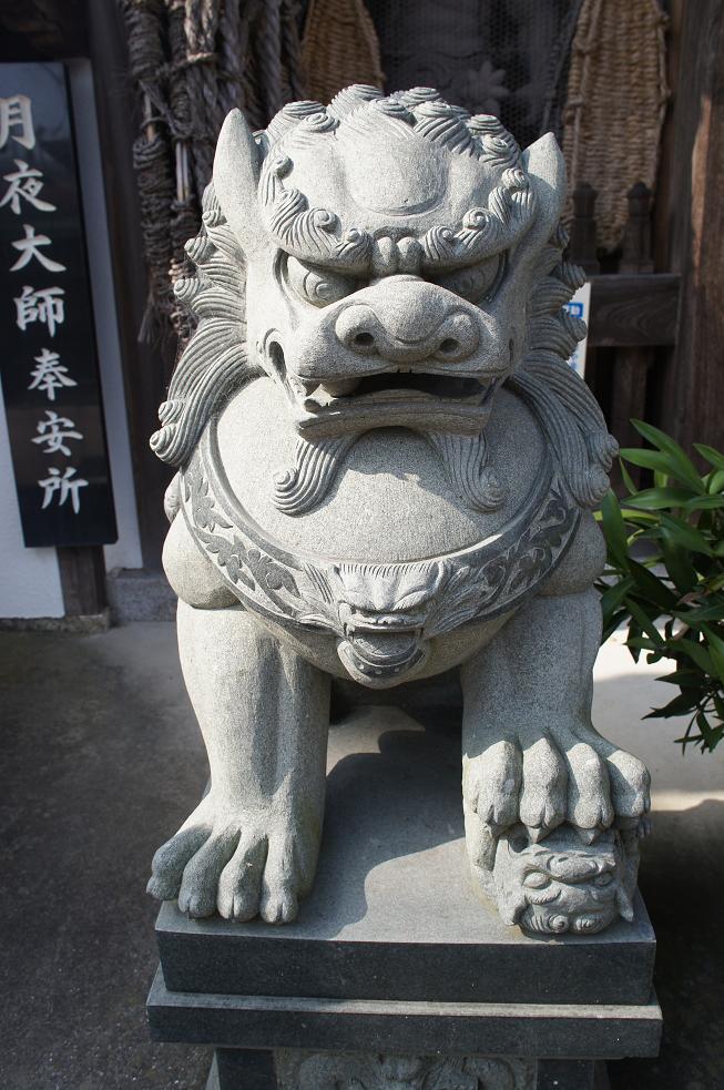 DSC03468
