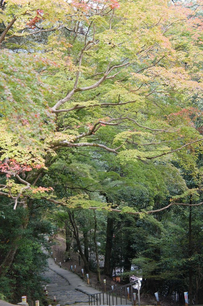 DSC03727