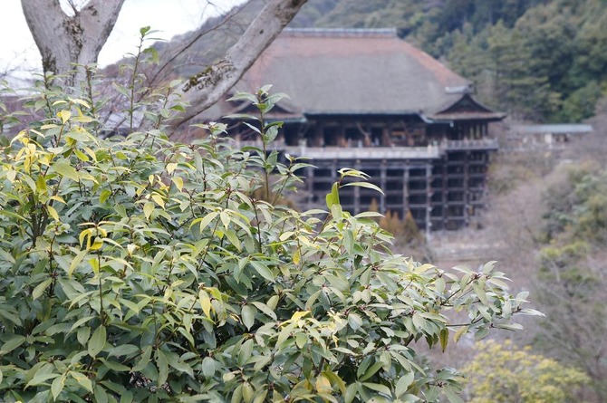 DSC06416