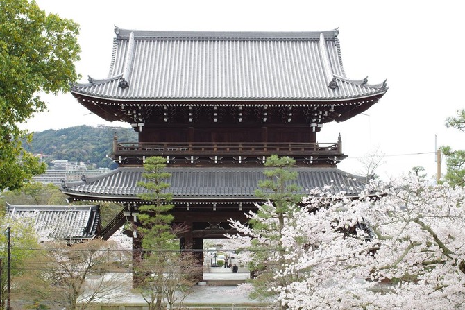 IMGP0196