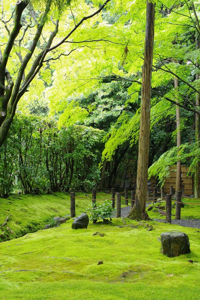 桂春院2