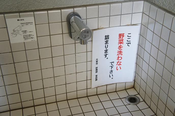 4d73a560.jpg