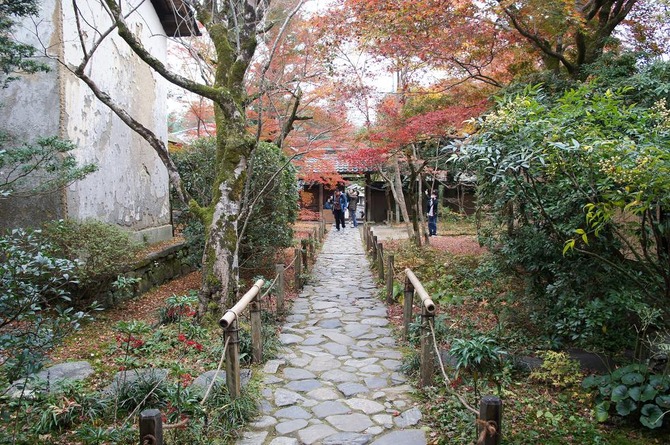 DSC04195