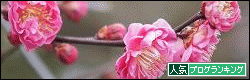 banner_20130221191640.gif