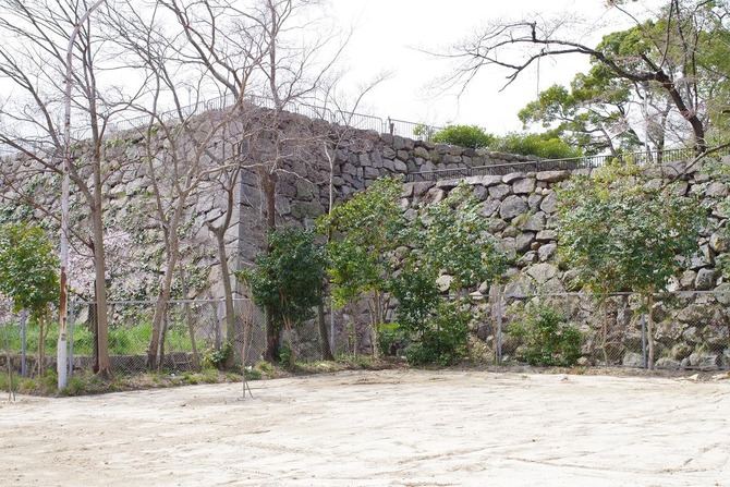 IMGP0133