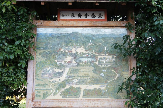 DSC04269