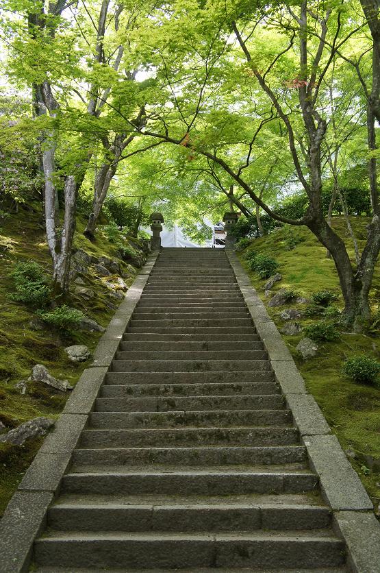 常寂光寺2