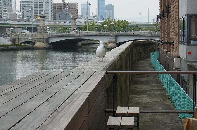 DSCF2200.jpg