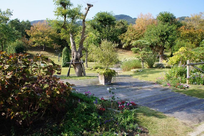 DSC03502