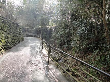 大原20110205