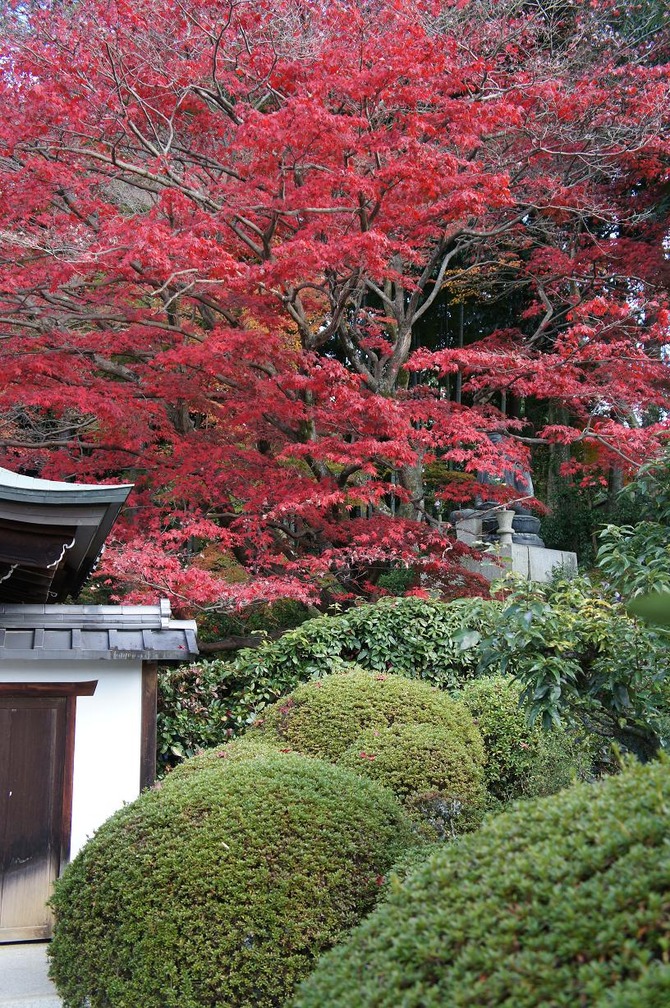栄摂院