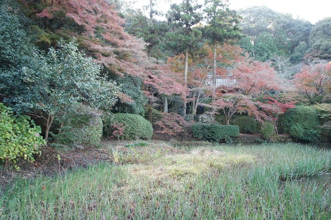DSC04294