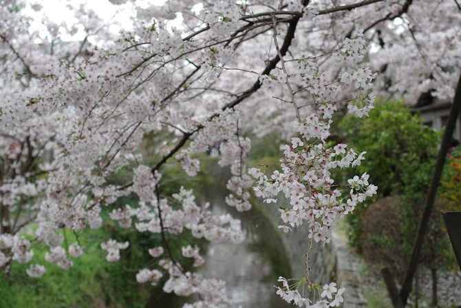 IMGP0291