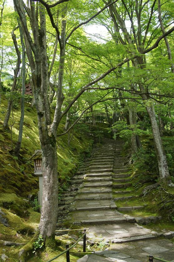 常寂光寺