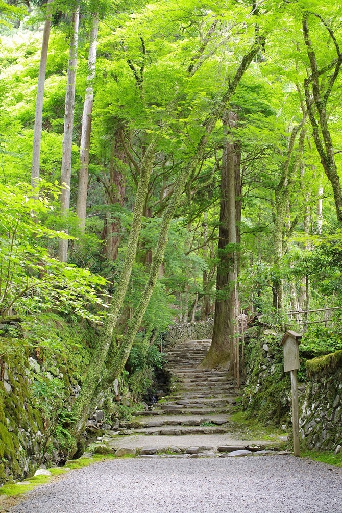 高山寺2
