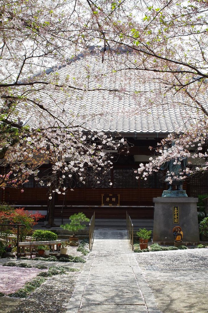 墨染寺