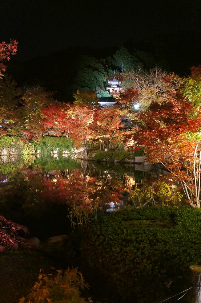 紅葉ライトアップ