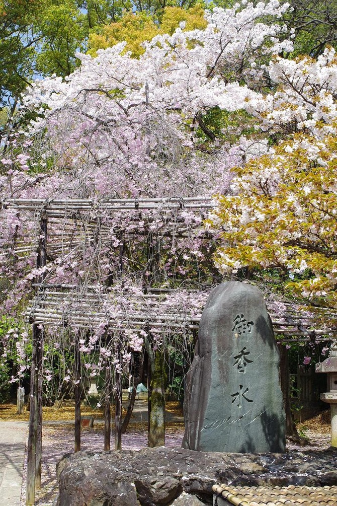 御香宮2
