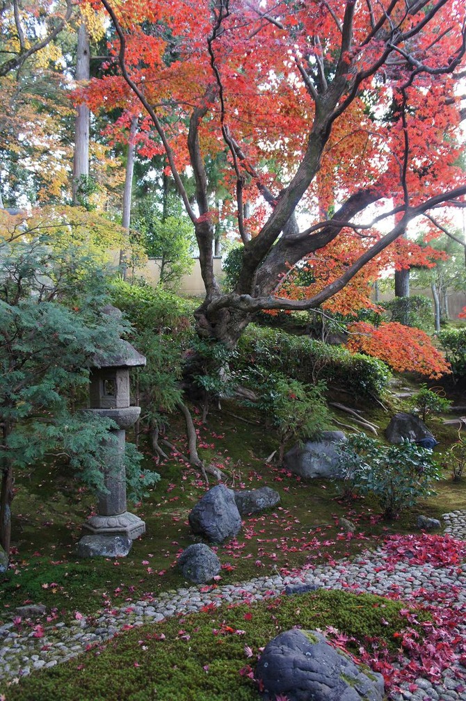 栄摂院2
