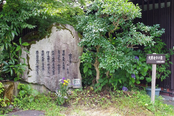 IMGP1921