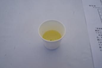 DSC08421.jpg