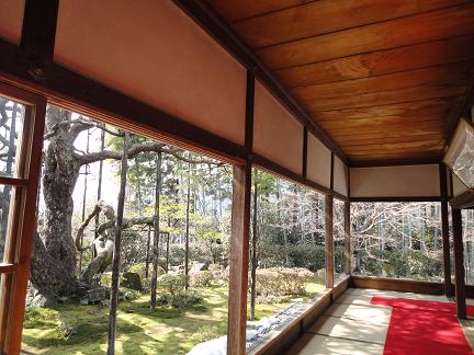 宝泉院20110205
