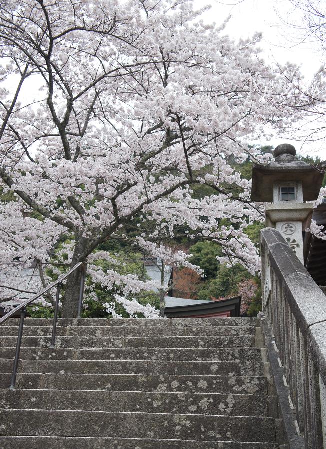 鞍馬寺2