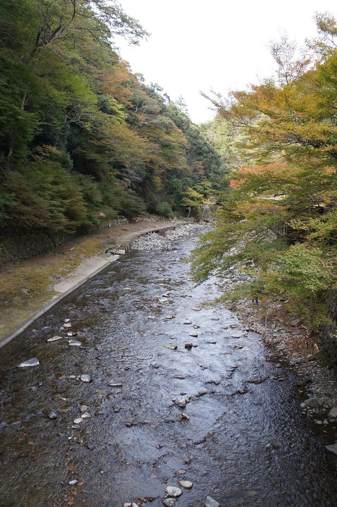 DSC03647