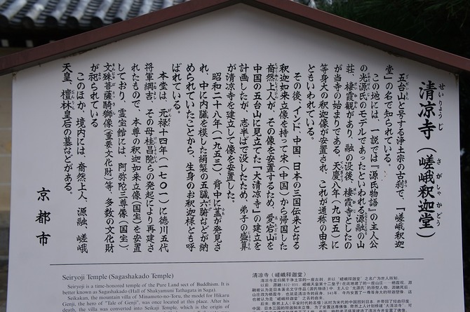 DSC05053