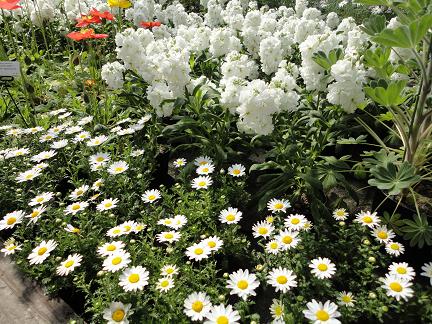 植物園20110203