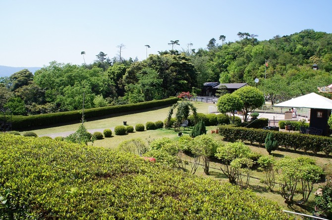 DSC08005