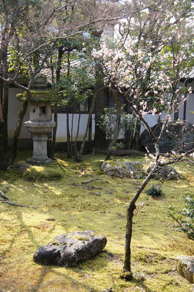 仁和寺2