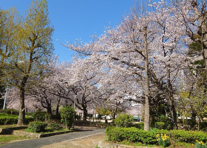 DSCF1743.jpg