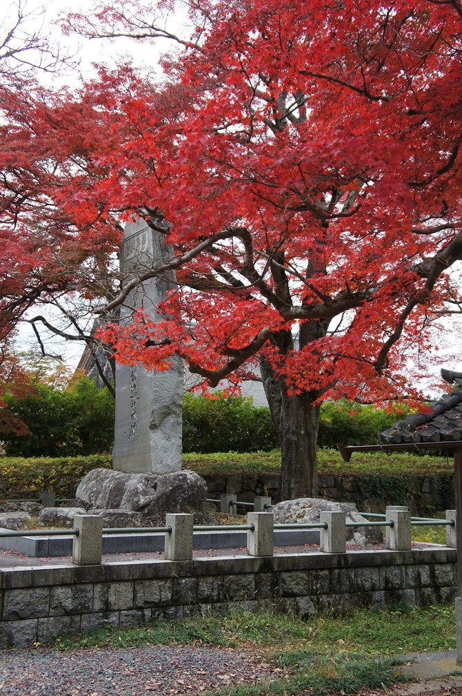 sasayama2