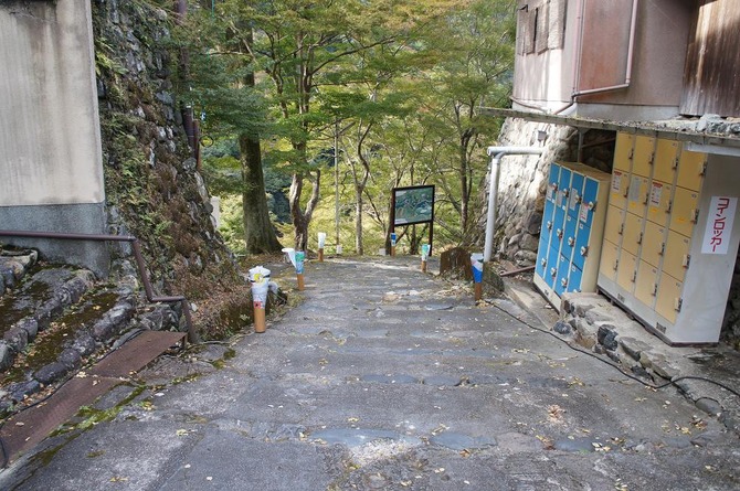 DSC03637