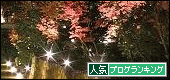人気ブログランキング