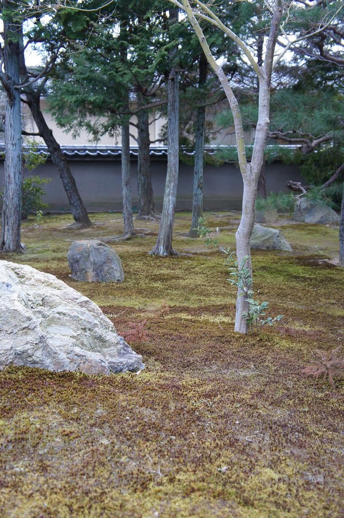 勝林寺4