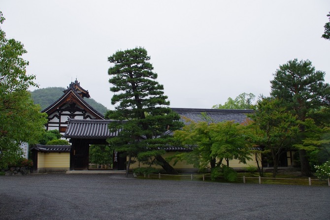 IMGP1228