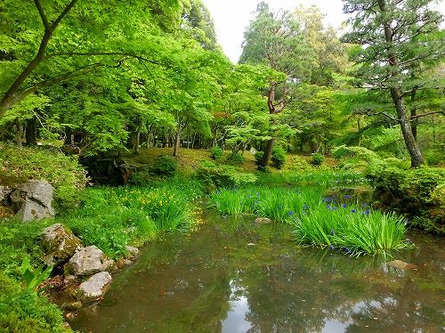萬葉植物園