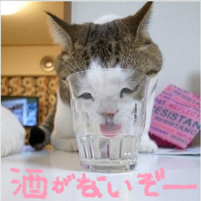 もっと飲ませろ...