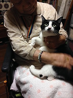 ケアマネのつぶやきブログ2