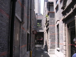DSCN7801