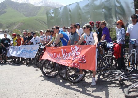 1272266071_vell-86