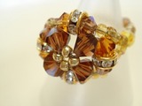 ����ǥ�ring