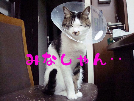 2785